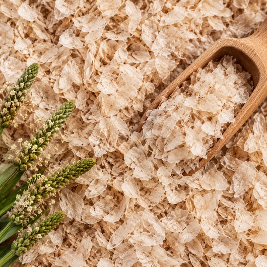 Casca de psyllium loiro (Plantago ovata)